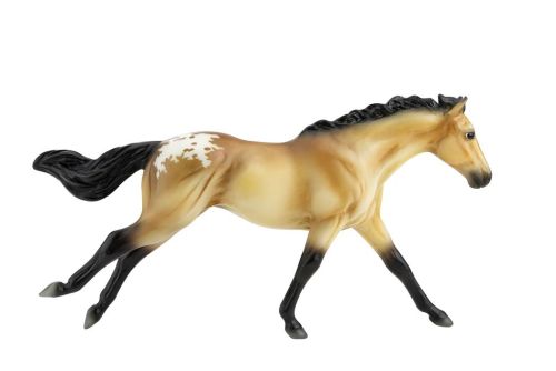 BUCKSKIN BLANKET APPALOOSA